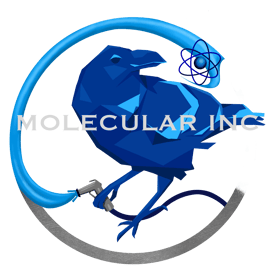 Raven_Across_Letters